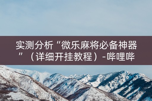 实测分析“微乐麻将必备神器”（详细开挂教程）-哔哩哔哩
