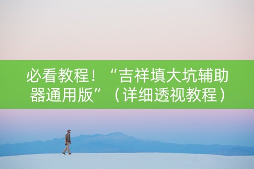 必看教程！“吉祥填大坑辅助器通用版”（详细透视教程）-哔哩哔哩