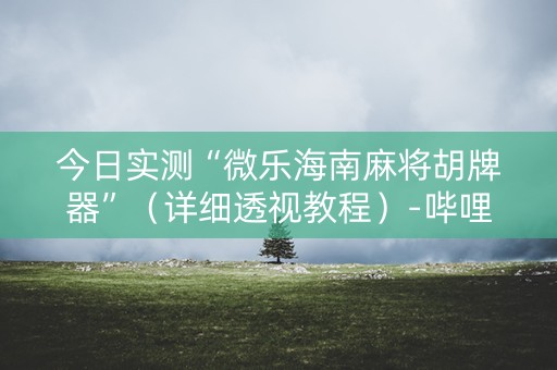 今日实测“微乐海南麻将胡牌器”（详细透视教程）-哔哩哔哩