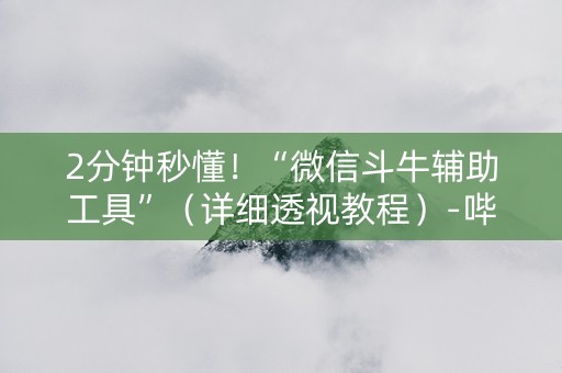 2分钟秒懂！“微信斗牛辅助工具”（详细透视教程）-哔哩哔哩