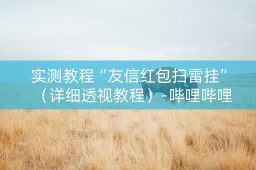 实测教程“友信红包扫雷挂”（详细透视教程）-哔哩哔哩