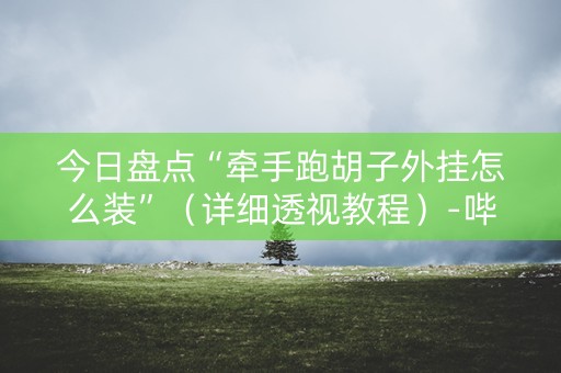 今日盘点“牵手跑胡子外挂怎么装”（详细透视教程）-哔哩哔哩