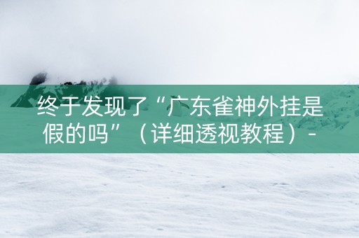 终于发现了“广东雀神外挂是假的吗”（详细透视教程）-哔哩哔哩