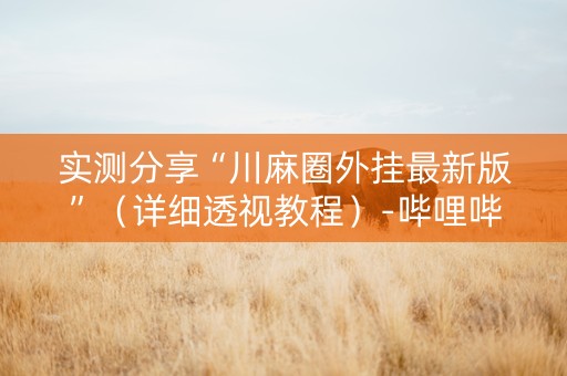 实测分享“川麻圈外挂最新版”（详细透视教程）-哔哩哔哩