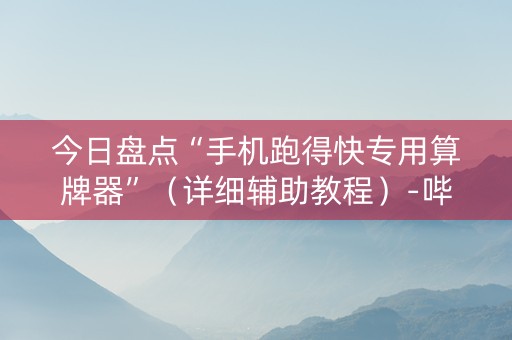 今日盘点“手机跑得快专用算牌器”（详细辅助教程）-哔哩哔哩