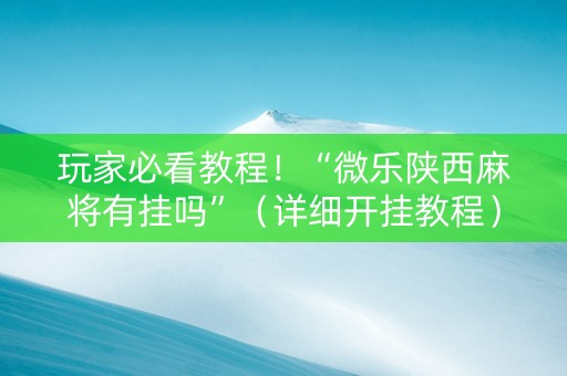 玩家必看教程！“微乐陕西麻将有挂吗”（详细开挂教程）-哔哩哔哩
