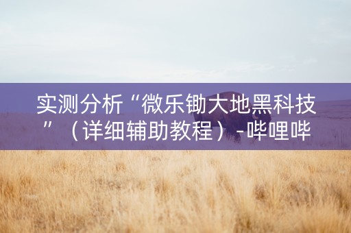 实测分析“微乐锄大地黑科技”（详细辅助教程）-哔哩哔哩