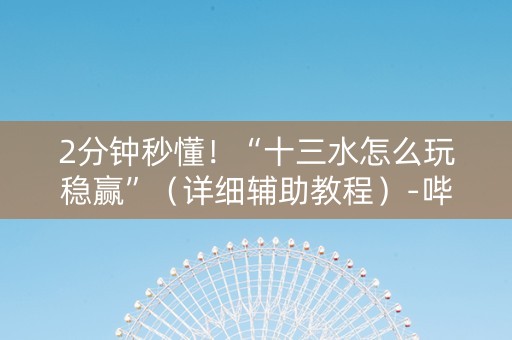2分钟秒懂！“十三水怎么玩稳赢”（详细辅助教程）-哔哩哔哩