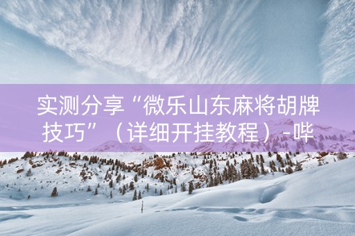 实测分享“微乐山东麻将胡牌技巧”（详细开挂教程）-哔哩哔哩