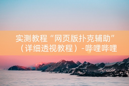 实测教程“网页版扑克辅助”（详细透视教程）-哔哩哔哩