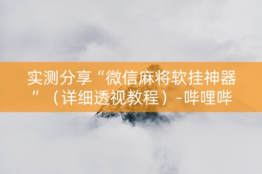 实测分享“微信麻将软挂神器”（详细透视教程）-哔哩哔哩
