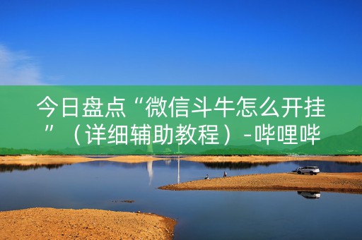 今日盘点“微信斗牛怎么开挂”（详细辅助教程）-哔哩哔哩