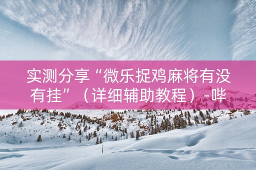 实测分享“微乐捉鸡麻将有没有挂”（详细辅助教程）-哔哩哔哩