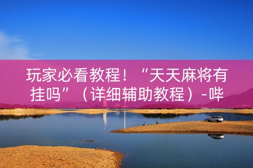 玩家必看教程！“天天麻将有挂吗”（详细辅助教程）-哔哩哔哩