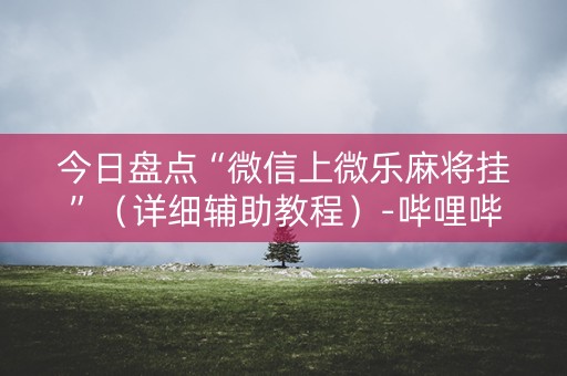今日盘点“微信上微乐麻将挂”（详细辅助教程）-哔哩哔哩