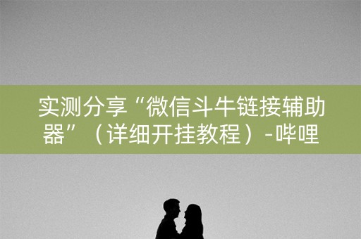 实测分享“微信斗牛链接辅助器”（详细开挂教程）-哔哩哔哩