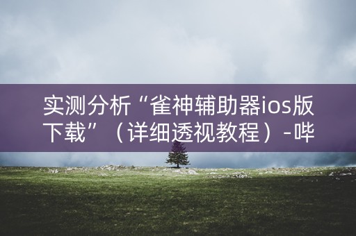 实测分析“雀神辅助器ios版下载”（详细透视教程）-哔哩哔哩