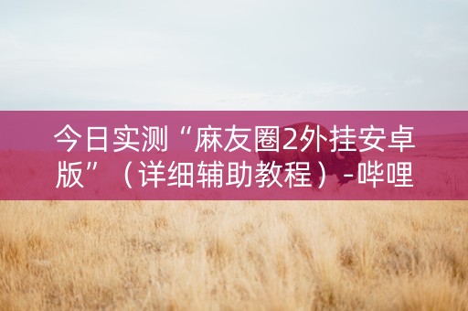 今日实测“麻友圈2外挂安卓版”（详细辅助教程）-哔哩哔哩