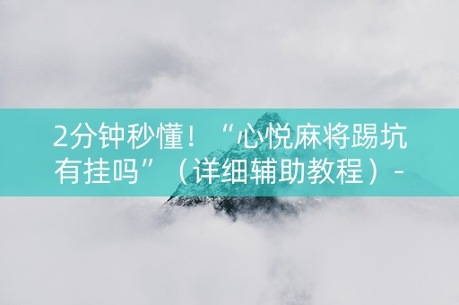 2分钟秒懂！“心悦麻将踢坑有挂吗”（详细辅助教程）-哔哩哔哩