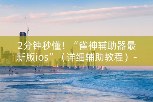 2分钟秒懂！“雀神辅助器最新版ios”（详细辅助教程）-哔哩哔哩