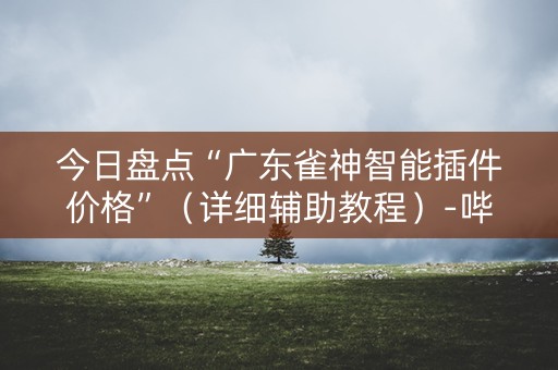今日盘点“广东雀神智能插件价格”（详细辅助教程）-哔哩哔哩