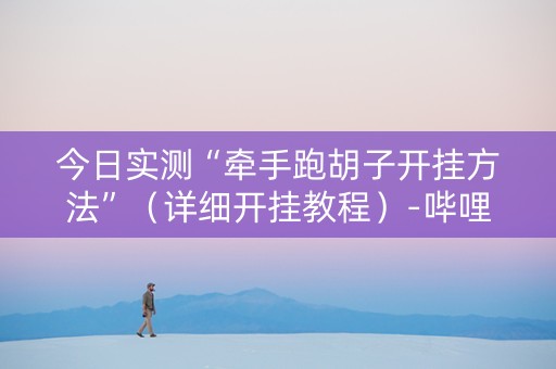 今日实测“牵手跑胡子开挂方法”（详细开挂教程）-哔哩哔哩