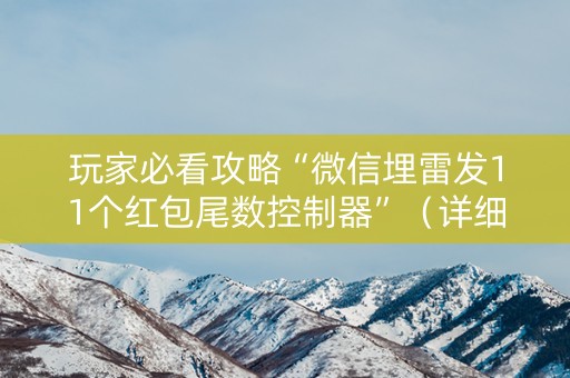 玩家必看攻略“微信埋雷发11个红包尾数控制器”（详细透视教程）-哔哩哔哩