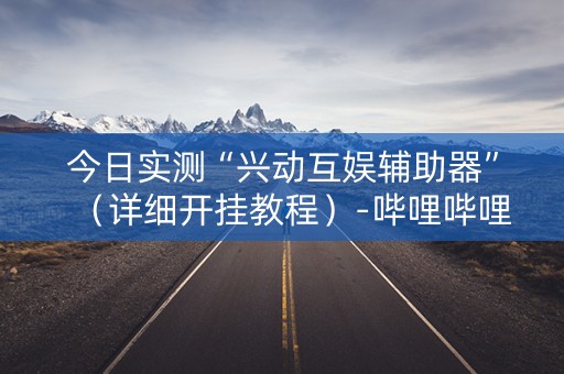 今日实测“兴动互娱辅助器”（详细开挂教程）-哔哩哔哩