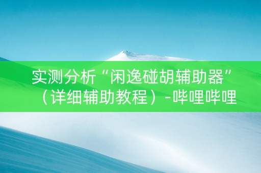 实测分析“闲逸碰胡辅助器”（详细辅助教程）-哔哩哔哩