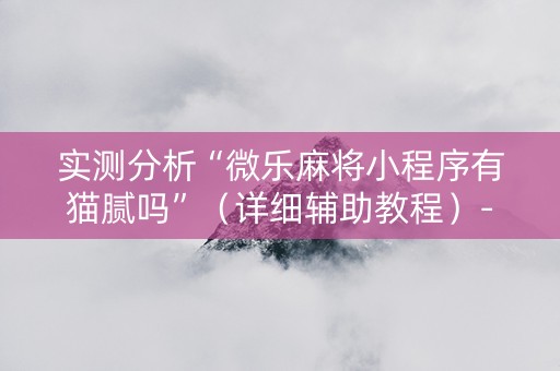 实测分析“微乐麻将小程序有猫腻吗”（详细辅助教程）-哔哩哔哩