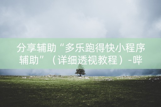 分享辅助“多乐跑得快小程序辅助”（详细透视教程）-哔哩哔哩
