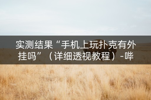 实测结果“手机上玩扑克有外挂吗”（详细透视教程）-哔哩哔哩