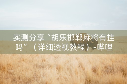 实测分享“胡乐邯郸麻将有挂吗”（详细透视教程）-哔哩哔哩