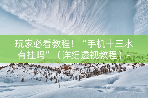 玩家必看教程！“手机十三水有挂吗”（详细透视教程）-哔哩哔哩