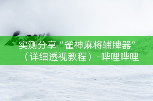 实测分享“雀神麻将辅牌器”（详细透视教程）-哔哩哔哩