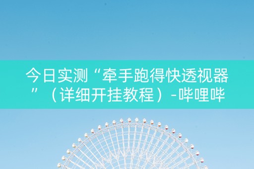 今日实测“牵手跑得快透视器”（详细开挂教程）-哔哩哔哩