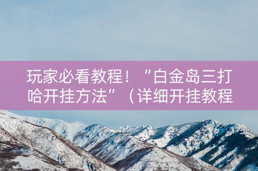 详细阅读:玩家必看教程!“白金岛三打哈开挂方法”(详细开挂教程)-哔哩哔哩 玩家必看教程!“白金岛三打哈开挂方法”(详细开挂教程)-哔哩哔哩