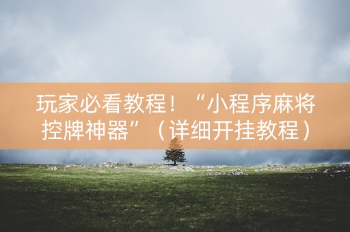 玩家必看教程！“小程序麻将控牌神器”（详细开挂教程）-哔哩哔哩