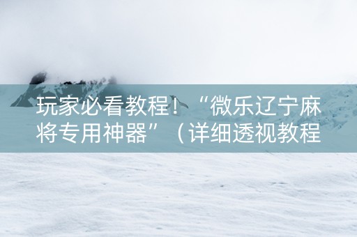 玩家必看教程！“微乐辽宁麻将专用神器”（详细透视教程）-哔哩哔哩