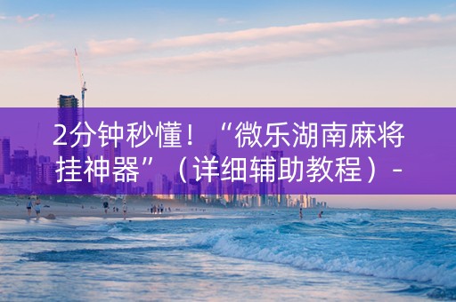2分钟秒懂！“微乐湖南麻将挂神器”（详细辅助教程）-哔哩哔哩