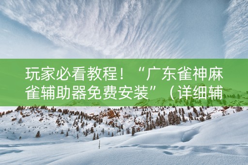 玩家必看教程！“广东雀神麻雀辅助器免费安装”（详细辅助教程）-哔哩哔哩