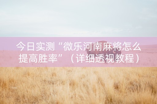 今日实测“微乐河南麻将怎么提高胜率”（详细透视教程）-哔哩哔哩