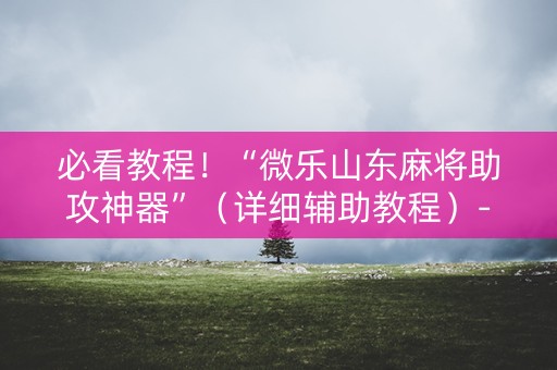 必看教程！“微乐山东麻将助攻神器”（详细辅助教程）-哔哩哔哩