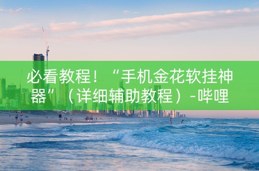 必看教程！“手机金花软挂神器”（详细辅助教程）-哔哩哔哩
