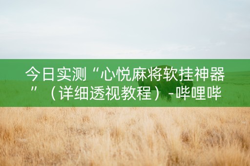 今日实测“心悦麻将软挂神器”（详细透视教程）-哔哩哔哩