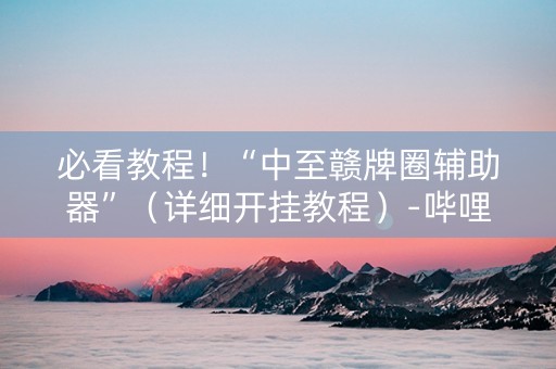 必看教程！“中至赣牌圈辅助器”（详细开挂教程）-哔哩哔哩