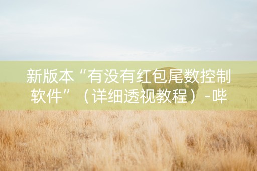 新版本“有没有红包尾数控制软件”（详细透视教程）-哔哩哔哩