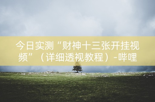 今日实测“财神十三张开挂视频”（详细透视教程）-哔哩哔哩