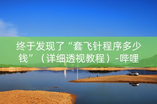 终于发现了“套飞针程序多少钱”（详细透视教程）-哔哩哔哩