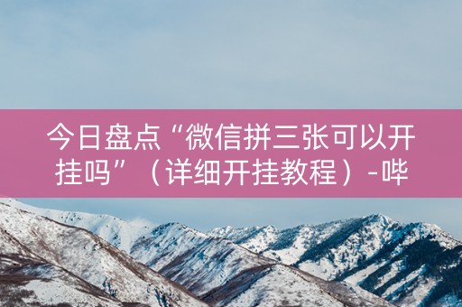 今日盘点“微信拼三张可以开挂吗”（详细开挂教程）-哔哩哔哩
